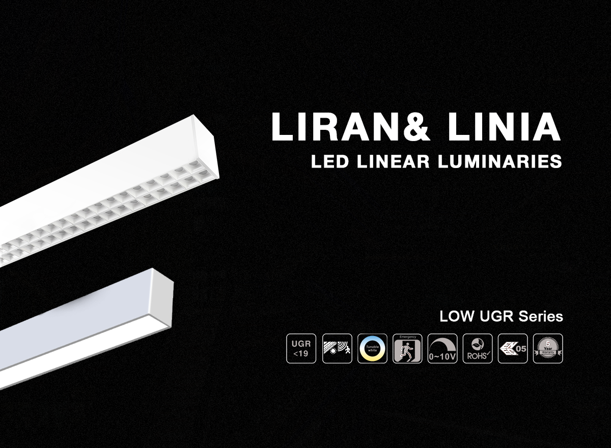 LM-LED Neon Flex